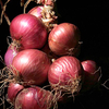 Onion Plants - Kamal
