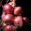 Onion Plants - Kamal