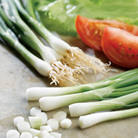 Onion (Salad) Seeds - White Lisbon