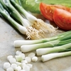 Onion (Salad) Seeds - White Lisbon Winter Hardy