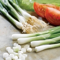 Onion (Salad) Seeds - White Lisbon Winter Hardy