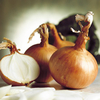 Onion Sets - Bumper Collection