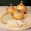 Onion Sets - F1 Centurion