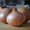 Onion Sets - French Pink