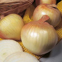 Onion Sets - Lucky Dip