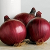 Onion Sets - Red Arrow