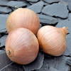 Onion Sets - Rose de Roscoff