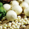 Onion Sets - Snowball