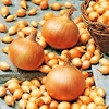 Onion Sets - Sturon