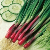 Onion (Spring) Seeds - Red & White Mix
