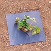Organic Fyba Mulch Mats
