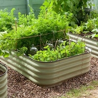 Original Veggie Bed (Misto Green) Pair