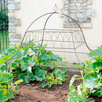 Ornamental Plant Frame - Square