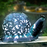 Ornate Solar Snail