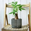 Oslo Planters - Grey