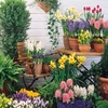 Our Selection Bulb Offer