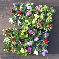 Our Selection Winter/Spring Bedding