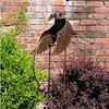 Owl on Stake