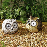 Owl Spotlights