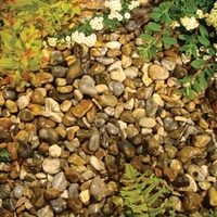 Oyster Pearl Pebbles - Bulk