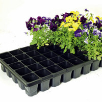 Pack of 4 Square Cell Growing Trays