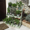 Painted Wooden Plant Theatre