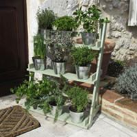 Painted Wooden Plant Theatre