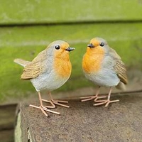 Pair of Robins