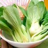 Pak Choi Plants - Continuity Duo Pack