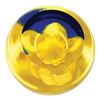 Paperweight - Daffodil