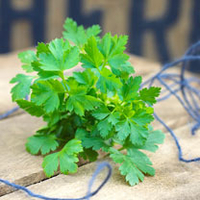 Parsley Seeds - Gigante D
