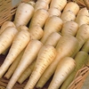 Parsnip (Non Organic) Seeds - Albion F1