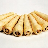 Parsnip Seeds - Countess F1