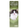 PDSA Slimline Cats & Kittens Calendar