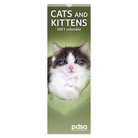 PDSA Slimline Cats & Kittens Calendar