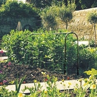 Pea & Bean Hoops - Frame Base