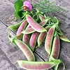 Pea (Mangetout) Plants - Spring Blush