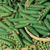 Pea Onward Seeds
