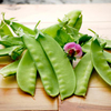 Pea Snow Plants - Pea Green Beauty