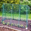 Pea Support Frame Kit