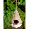 Pear Bird House