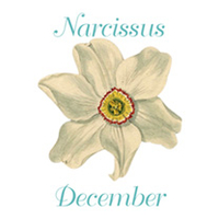 Pendant - December
