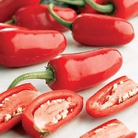 Pepper Chilli Plants - Jalapeno