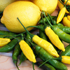 Pepper Chilli Plants - Peruvian Lemon Drop