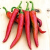 Pepper Chilli Seeds - Romital F1