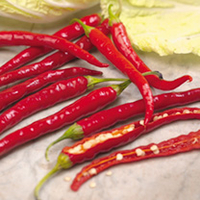 Pepper Plant - De Cayenne