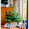 Personalised Christmas Tree Crate - Sweet Pea Pink