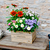 Personalised Crate 3 Slats - 53 x 36 x 28cm Whitewash