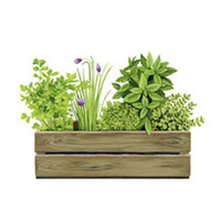 Personalised Crate Collection - Herbtastic