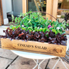 Personalised Crate Collection - Speedy Leaves